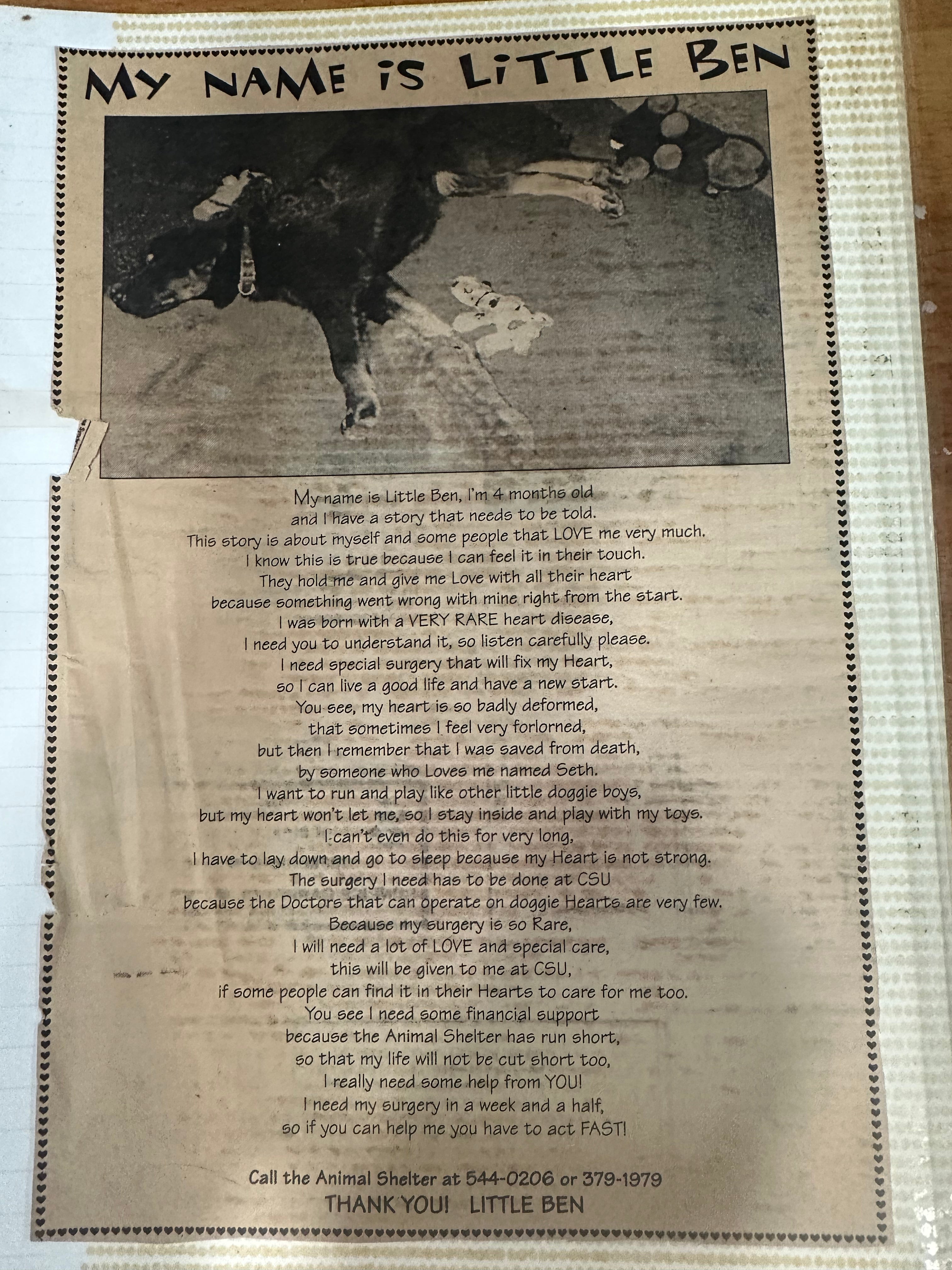 Personalized Pet Poem - Text Only