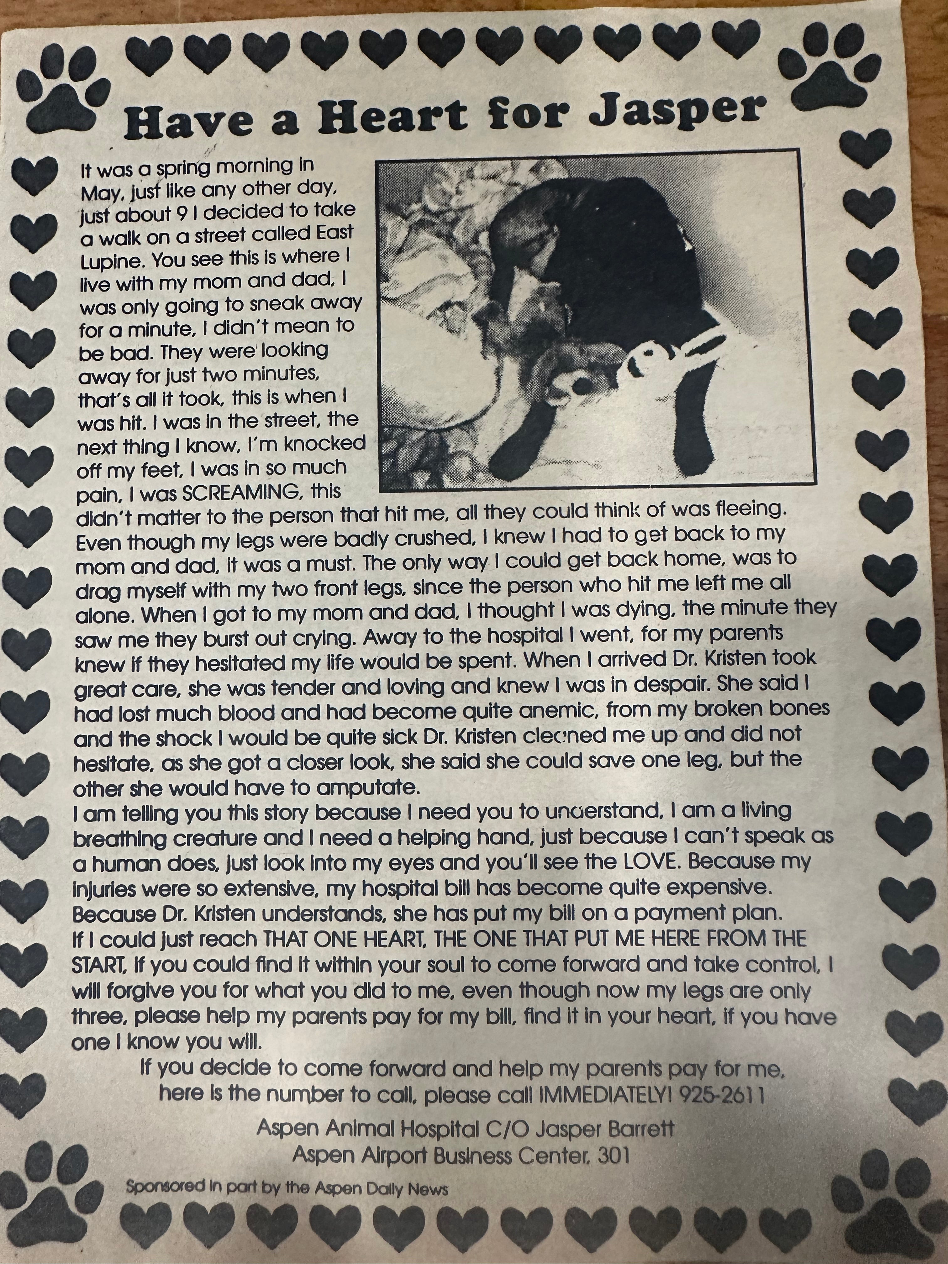 Personalized Pet Poem - Text Only